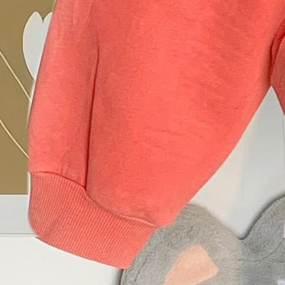 Oversized Coral Graphic Sweatshirt Hoodie - Picture 4 of 4